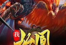 《我,始凰,带领凤凰族退隐》小说主角凰天女娲鸿钧罗睺章节章节免费在线阅读-侠客文学