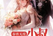 裴言澈楚栀柔小说在哪里可以看-侠客文学