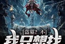 张宝宝张之酒的故事在哪本书里？免费阅读盗墓？不，我只想找失踪的妈-侠客文学