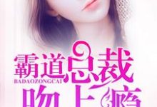 霸道总裁宠上瘾小说无弹窗阅读的网站推荐-侠客文学