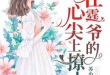 哪里能找到一胎四宝：在霆爷的心尖上撩火小说的全部章节？-侠客文学