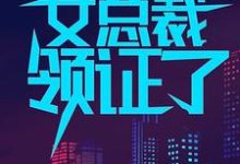 一觉醒来,我和女总裁领证了叶辰顾倾城姚静汤若男在线章节免费阅读-侠客文学