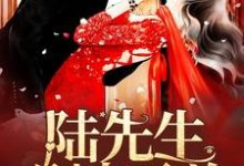 陆先生,别来无恙小说有没有完整的免费版本在线阅读?-侠客文学