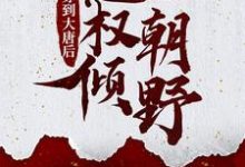 云昊胡诗诗小说叫什么（穿到大唐后，他权倾朝野免费阅读）-侠客文学