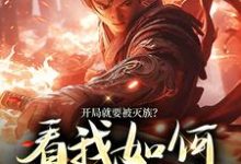 小说《开局就要被灭族？看我如何独断万古》章节阅读-侠客文学