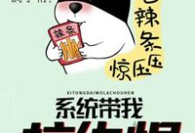 系统带我拉仇恨这本小说完结了吗?免费查看最新章节-侠客文学