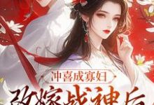 慕锦霜战南膺小说在哪里可以看-侠客文学