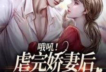 主角叫桑田薄肆的小说在哪阅读-侠客文学