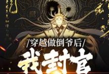 穿越做倒爷后,我封官加爵了小说全文哪里可以免费看?-侠客文学