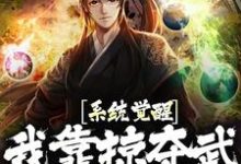 完结版《系统觉醒!我靠掠夺武魂无敌了》免费阅读-侠客文学