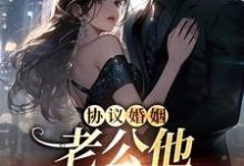 免费看协议婚姻,老公他不想离婚小说的网站有哪些?-侠客文学