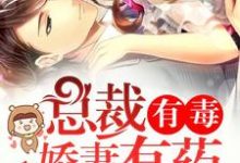 免费阅读连白微慕临骁苏尘贺廷森为主角的小说,总裁有毒:娇妻有药在线看-侠客文学