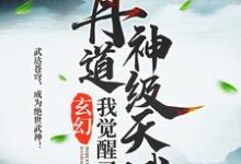 玄幻：我觉醒了丹道神级天赋小说，玄幻：我觉醒了丹道神级天赋在线阅读-侠客文学