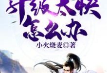 王大宝剑修刘胖子小说《玄幻：升级太快怎么办》在线阅读-侠客文学