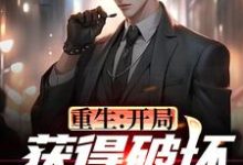 重生：开局获得破坏愿望系统小说，重生：开局获得破坏愿望系统陈子枫林雨薇-侠客文学