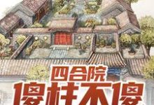 求四合院：傻柱不傻，全禽发疯小说免费资源-侠客文学