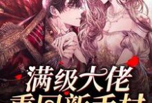 顾宁西小说在哪里可以看-侠客文学