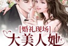《婚礼现场,大美人她喜提绿帽》小说主角秦悦黎焰章节章节免费在线阅读-侠客文学