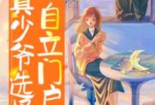 《假少年被团宠，真少爷选择自立门户》小说大结局免费试读 陈时小说-侠客文学