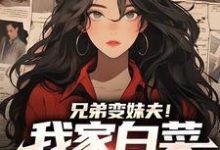 完结版《兄弟变妹夫！我家白菜被猪拱了》章节目录在线阅读-侠客文学