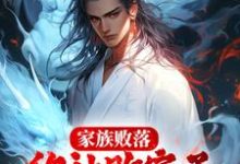家族败落，你让败家子力揽狂澜？小说，家族败落，你让败家子力揽狂澜？最新章节-侠客文学