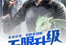 全球灾变：我的农场能无限升级杨昊杨茜小说在线章节免费阅读-侠客文学
