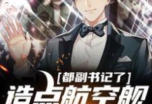 都副书记了，造点航空舰母很合理吧小说完结版章节免费阅读-侠客文学
