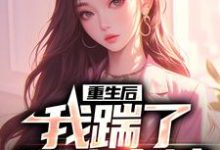 重生后,我踹了花心老婆这本小说在哪里可以看?哪里有免费试读章节?-侠客文学