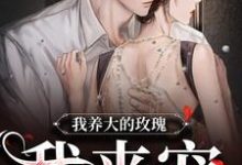 云景琛云知知小说在线章节免费阅读(我养大的玫瑰,我来宠无弹窗无删减)-侠客文学