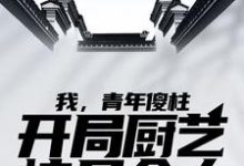 主角何雨柱傻柱小说完结版在线阅读,我,青年傻柱,开局厨艺惊呆众人免费看-侠客文学