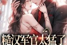 完结版《糙汉军官太猛了，千金顶不住》章节阅读-侠客文学