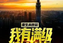 重生末世前,我有满级激光炮主角陆宁王烨小说完结版章节在线阅读-侠客文学