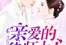 亲爱的律师大人最新章节，亲爱的律师大人免费阅读-侠客文学