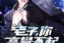小说《老子,你高攀不起》章节免费阅读-侠客文学