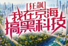 《狂飙:我在京海搞黑科技》小说章节列表免费试读,徐雷小说在线阅读-侠客文学