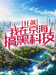 《狂飙：我在京海搞黑科技》小说章节列表免费试读，徐雷小说在线阅读