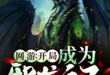 网游：开局成为邪龙之子小说有没有完结版在线？-侠客文学
