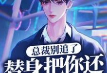 总裁别追了，替身把你还给白月光了岑溪顾子风，总裁别追了，替身把你还给白月光了最新章节-侠客文学