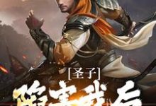 圣子陷害我后，宗门暴乱叶圣陶小说在线章节免费阅读-侠客文学