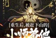 重生后,被赶下山的小师弟他黑化了章节免费在线阅读,云周完结版-侠客文学