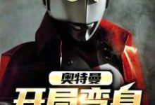 求苏阳海帕杰顿小说免费资源-侠客文学