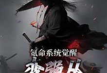 氪命系统觉醒,变强从掠杀开始小说,氪命系统觉醒,变强从掠杀开始邢风-侠客文学