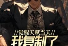 王浩小说在线章节免费阅读（觉醒天赋当天，我复制了SSS级天赋无弹窗无删减）-侠客文学