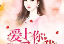 主角赵静静单昊天小说完结版在线阅读，爱上你爱上我免费看-侠客文学