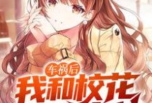 免费阅读秦瀚楚心蕊为主角的小说，车祸后，我和校花共享身体在线看-侠客文学