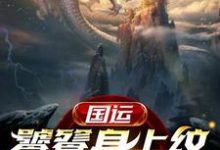 主角叶枫饕餮小说国运:饕餮身上纹,镇守龙国门免费阅读-侠客文学