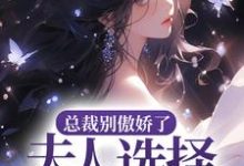 总裁别傲娇了，夫人选择去父留子小说，总裁别傲娇了，夫人选择去父留子在线阅读-侠客文学