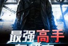 最强高手在都市最新章节，最强高手在都市章节在线阅读-侠客文学