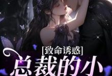 致命诱惑:总裁的小娇妻被独宠傅辰笙沈漓,致命诱惑:总裁的小娇妻被独宠最新章节-侠客文学