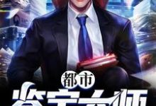 都市鉴宝大师免费阅读，都市鉴宝大师章节目录-侠客文学